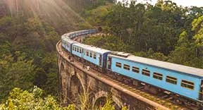 288_156_ella_train_sunset.webp